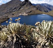El Ministerio de Ambiente y Desarrollo Sostenible tiene hasta el 16 de julio de 2019 para presente la nueva línea de protección del Páramo de Santurbán. Archivo