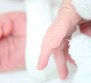 La policía determinó que el niño estaba a salvo y no inculpó al bromista. Imagen referencial