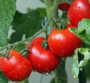 Pixabay / Referencial