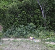 Juan Pablo Cohen  / La Opinión