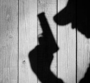 La Opinión-Colprensa