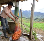 Archivo / La Opinión