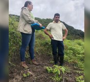 En el municipio de Toledo los beneficiarios de un proyecto para el cultivo de aguacate hass están plantando al tiempo frutas y verduras.
Cortesía