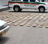 En un carro Mazda 626, de placas BAR-815 el conductor, menor de edad, transportaba los 317 kilos de marihuana cripy, con destino a Cúcuta. La Opinión