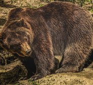 Pixabay / Referencial