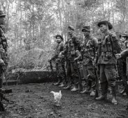 Cortesía Villegas Editores