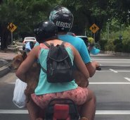 La Concesión RUNT en su página web www.runt.com.co, en su consulta por placa, permite que los colombianos puedan consultar la vigencia no solo de la Revisión Técnico Mecánica, sino del SOAT. Archivo