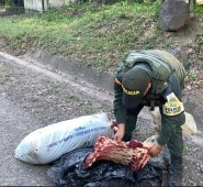 La Polfa resaltó que el la carne estaba expuesto a la contaminación y a las bacterias, lo que representa un grave riesgo para los consumidores. Policía Nacional