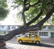 Calle 4n entre avenidas 15E y Libertadores. Cesar Obando
