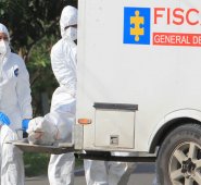 Los equipos están conformados por antropólogos, odontólogos, genetistas y técnicos en criminalística. Archivo Colprensa