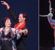 Se tendrán compañías de España, Suiza, Italia, Panamá, Cuba, Venezuela, Bulgaria, México, Bogotá, Cali, Medellín, Manizales, Barranquilla, Bucaramanga, Ocaña y Cúcuta. Cortesía