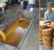 Los paneleros de Norte de Santander aún no han implementado las nuevas tecnologías y la producción artesanal les resta competitividad, por lo que no han logrado conquistar espacio en los mercados nacionales. Archivo