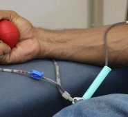 La hemofilia es un trastorno incurable en el que la sangre no coagula debidamente. Colprensa