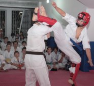 La Tercera Copa América de karate estilo Kyokushin se disputará el próximo sábado y domingo en el coliseo Toto Hernández. Mario Caicedo