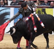 Rámses participó en la temporada del 2014 en Chinácota, obteniendo el título de triunfador, con tres orejas. Mario Franco