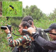 Alberto Peña orienta el Grupo de Observadores de Aves de Pamplona. Roberto Ospino