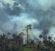 Según la oenegé Greenpeace, el aumento excesivo de la deforestación para la cría de ganado y la siembra de soja, productos demandados por la países de la Unión Europea y China, contribuyen a los incendios que se han vivido en los últimos días. AFP
