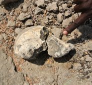 Todo parece indicar que se convertirá en otro ícono célebre de la evolución humana. 
 AFP