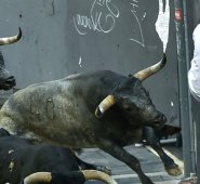 El hombre se encontraba entre el público.
AFP