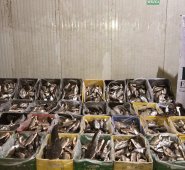 Las autoridades aseguraron que el producto generaba un riesgo para los consumidores, porque no contaba con la cadena de frío adecuada para preservar la calidad.
Policía Nacional