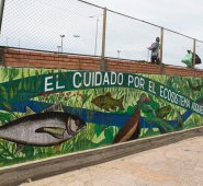 Cortesía y Juan pablo cohen 