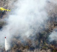 Solo en Bolivia, al sur de la cuenca del Amazonas, los incendios forestales han arrasado más de cuatro millones de hectáreas de bosques y praderas desde agosto. AFP