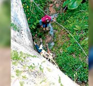 Su pronóstico es reservado. Cortesía