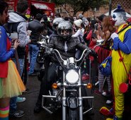 Son más los adultos que se dejaron llevar por la fiebre del Halloween. Incluso los animales harán parte de la celebración del día de las brujas el próximo jueves 31 de octubre.  Archivo Colprensa