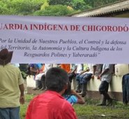 La víctima, Gilberto Domicó Domicó, líder indígena del resguardo Los Polines en Chigorodó. @CamiloCalleO