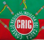 Bandera CRIC. Colprensa