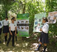 Los estudiantes expusieron sus proyectos de aula ambientales.  Alfredo Estévez