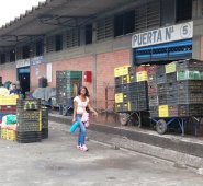 La Central de Abastos de Cúcuta (Cenabastos) es una de las entidades con más afectación por esta cadena de detrimentos fiscales. Archivo