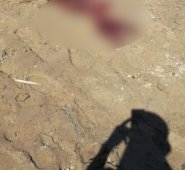 El hecho ocurrió hacia las 10:00 de la mañana. Al cierre de esta edición, ninguna autoridad se acercó al sitio.
Cortesía