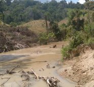 La explotación ilícita de yacimientos de oro aluvial se da en zonas “de pobreza, marginalidad, difícil acceso y con marcada presencia de grupos armados ilegales”, según la Oficina de la ONU contra la Droga y el Delito. Colprensa