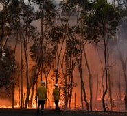“Hay probablemente más de ocho incendios en total” dijo Rob Rogers, subinspector del servicio rural de incendios de Nueva Gales del Sur, agregando que se estaba formando lo que llamaron un “megafuego” en un área de un parque nacional. AFP