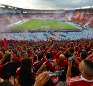 De Colombia participan: Junior, América de Cali, Deportes Tolima, Independiente Medellín. Colprensa