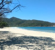 La Embajada de Argentina adelanta los trámites para la repatriación del cuerpo. Colprensa