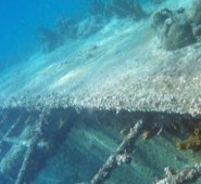 Galeón San José. Colprensa