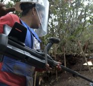 Los municipios más azotados de la geografía de Norte de Santander por la aparición de estos elementos letales, son Tibú, San Calixto, Hacarí y Ábrego. Archivo