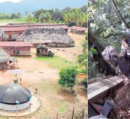 Desde La Sierra hasta el resguardo se gastaban 5 días en ir y volver, por lo que eran necesarias 120 mulas para transportar la carga. Como solo consiguieron 40, tuvieron que hacer 3 viajes. Cortesía