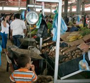 Productos como la papa, las hortalizas, la cebolla y las frutas frescas, fueron algunos de los que registraron reducciones en los precios al consumidor, en 2019. Archivo / La Opinión
