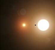 El planeta, llamado TOI 700 d y potencialmente habitable, está relativamente cerca de la Tierra. AFP