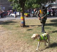 El parque Lineal, en la avenida sexta entre calles 4 y 6 del centro, es el segundo punto priorizado por el alcalde Jairo Yáñez, quien lo visitará mañana y el lunes para hacer labores de embellecimiento e inculcar la buena cultura.  Alfredo Estévez