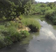 Rayner Lizarazo/La Opinión