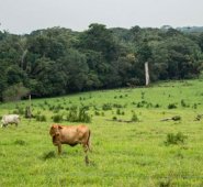 Foto: Rutas del Conflicto