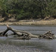 El río Cauca es uno de los principales afluentes del país afectado por la actual temporada seca. Colprensa