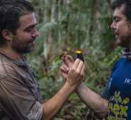 La pasión de Diego Calderón son las aves. Lleva más de 20 años dedicado a ellas y ha sido uno de los principales organizadores del Global Big Day en Colombia, evento en que el país es el campeón.  Foto: Federico Ríos Escobar.