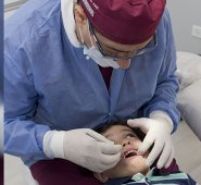 Alfredo Estévez /La Opinión