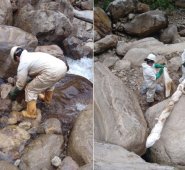 Para la contención del producto, se activó un punto de control alternativo sobre el río Sararito y de manera preventiva se protegió la bocatoma de Arauquita, Arauca. Ecopetrol