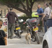 Alfredo Estévez/La Opinión